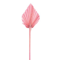 Pink Palm Spear