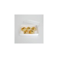 10x7x2 (255x175x50mm) Biscuit Box with Window