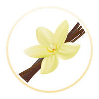 Vanilla Clear Esssence 50ml