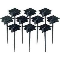 Graduation picks 10pack - Amscan