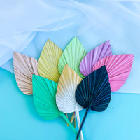 Single Dried Spear Palm Natural