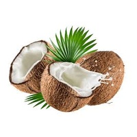 Coconut Essence 50ml