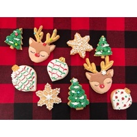 14/12/25 Royal Icing Cookie Class
