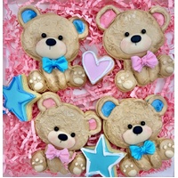 18/07/26 Teddy Bear Royal Icing Cookie Class