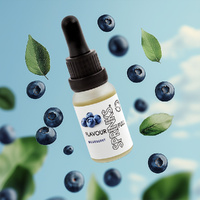 Sprinks BLUEBERRY Flavour (15ml)