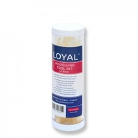 Loyal Modelling Tool Set 12 piece