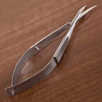 Cassie Brown- Superfine Snips LARGE CURVED