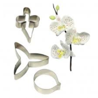 Moth Orchid SM Set 3