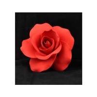 Sugar Flowers/Sugar Decorations